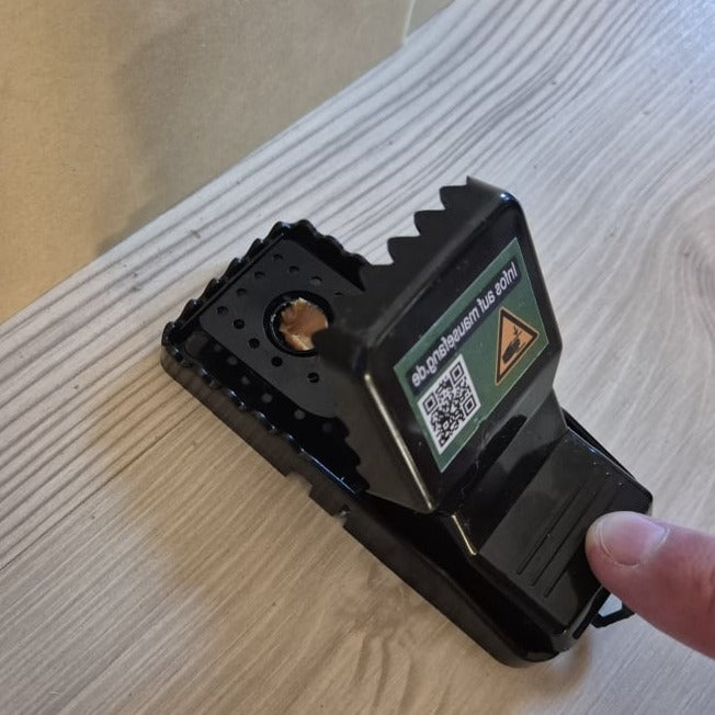 Schlagfalle vorsichtig mit dem Finger spannen